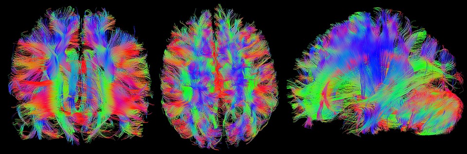 Neurociência ajuda até na hora de avaliar os estudantes