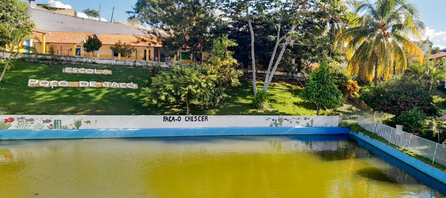 gestão escolar