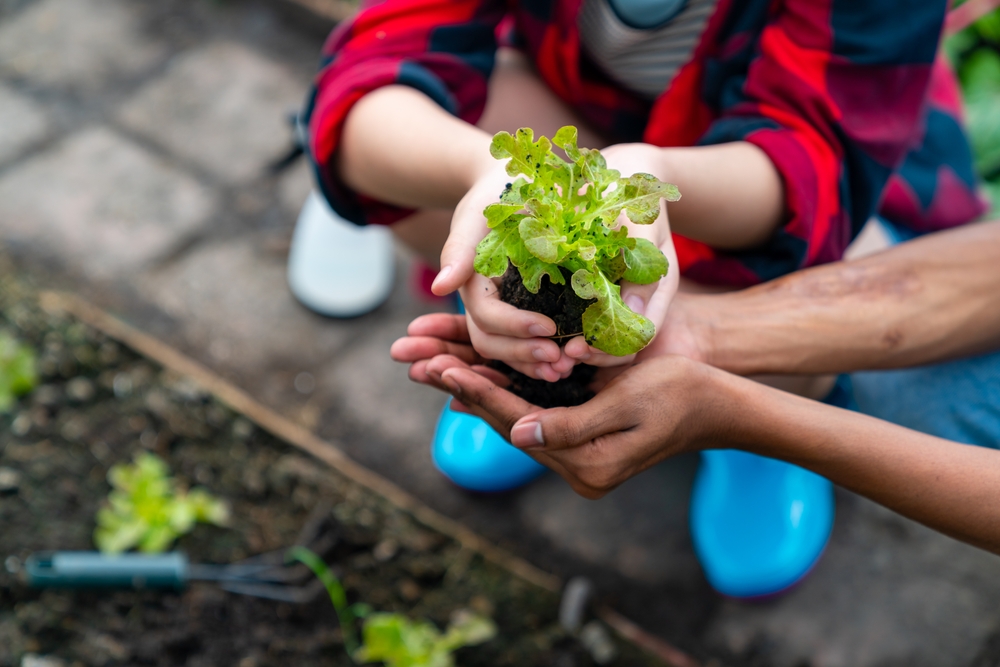 adaptação climática