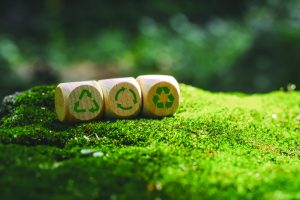 Escolas verdes