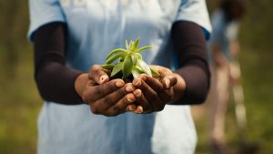 Ecopedagogia