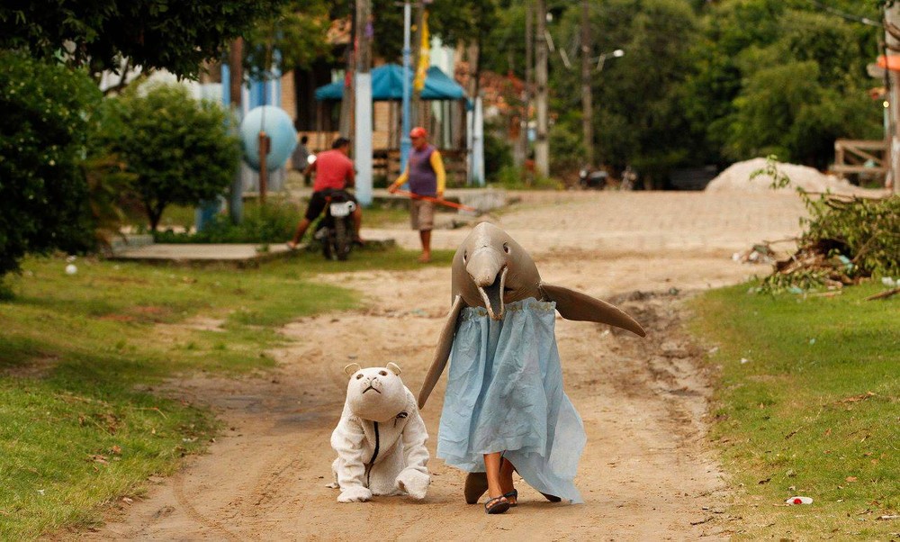 BNP - O carnaval dos animais