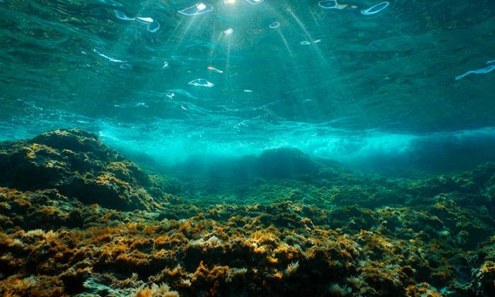 oceanos-oxigenio