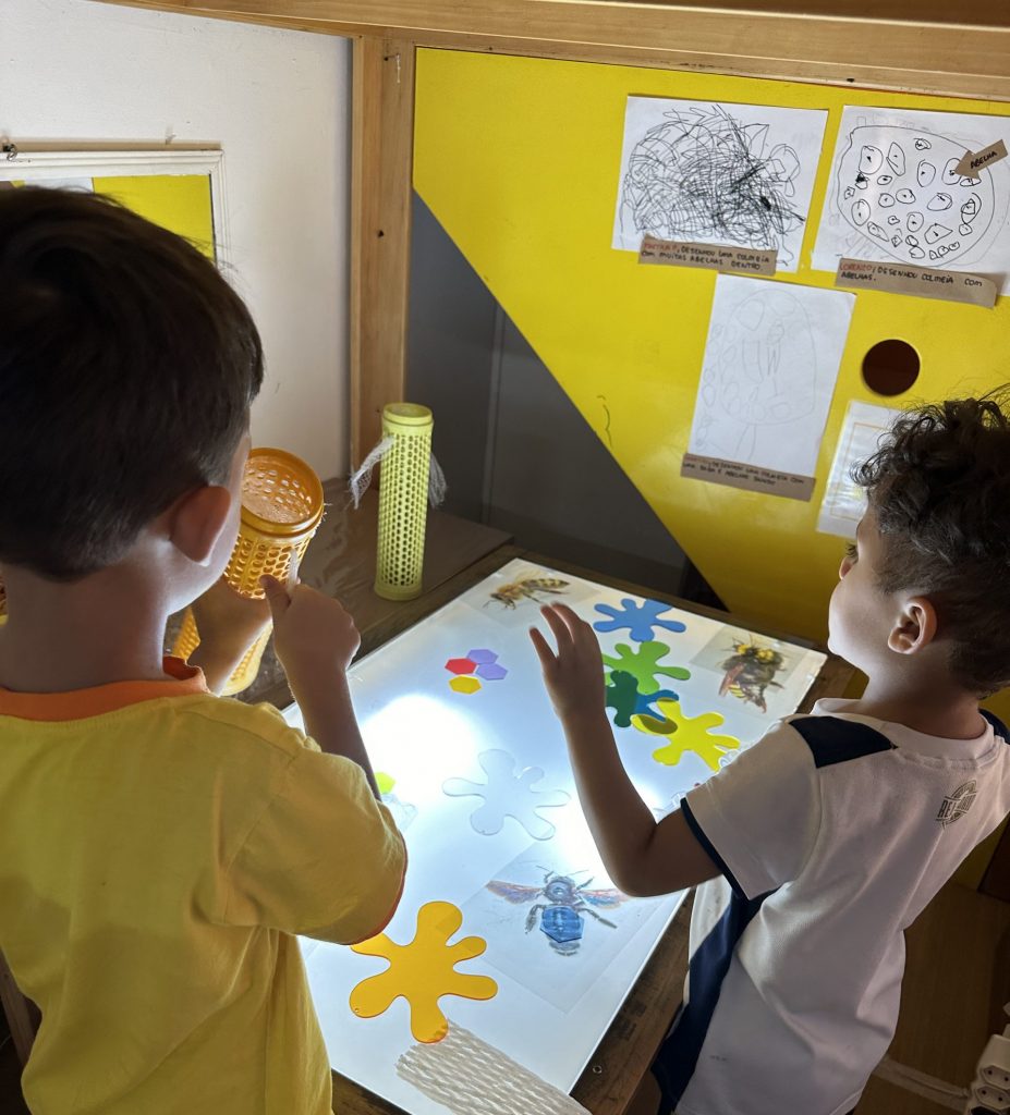 Reggio Emilia em escolas brasileiras: os cuidados com o modismo e as distorções