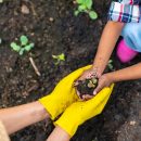 Hands,Of,Little,African,Child,Girl,And,Father,Holding,Soil