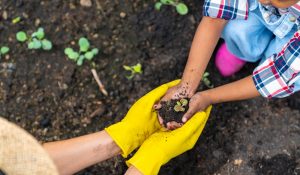 Hands,Of,Little,African,Child,Girl,And,Father,Holding,Soil