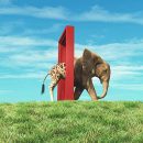 Giraffe,Entering,A,Door,And,Gets,Out,As,An,Elephant