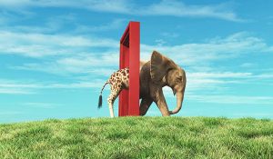 Giraffe,Entering,A,Door,And,Gets,Out,As,An,Elephant