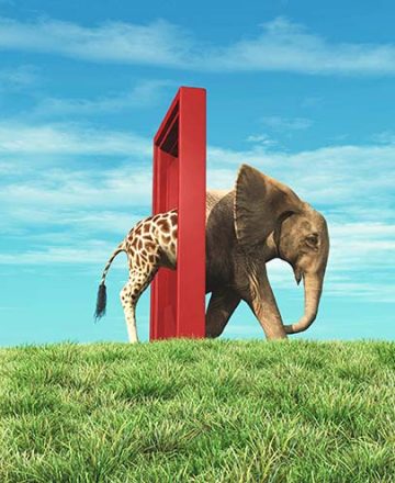 Giraffe,Entering,A,Door,And,Gets,Out,As,An,Elephant