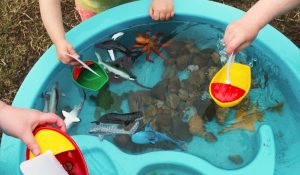 Oceano na sala de aula
