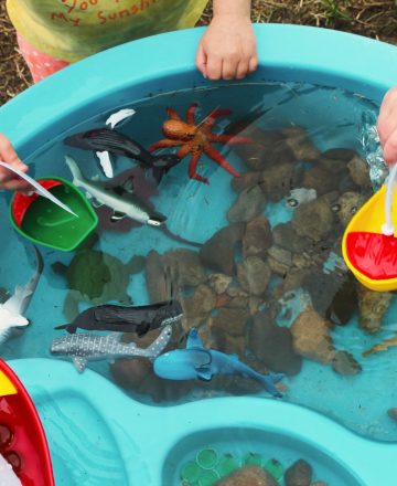 Oceano na sala de aula