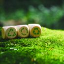Circular,Economyideas,For,Sustainable,Development,And,Green,Business,Based,Renewable