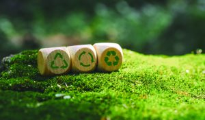 Circular,Economyideas,For,Sustainable,Development,And,Green,Business,Based,Renewable