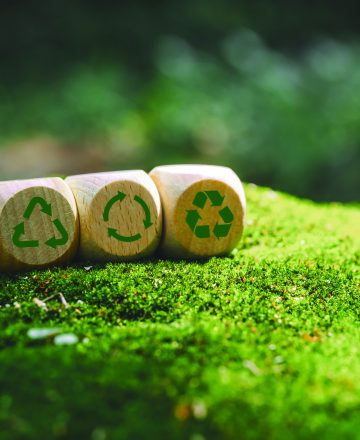 Circular,Economyideas,For,Sustainable,Development,And,Green,Business,Based,Renewable
