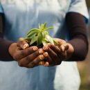 African,American,Girl,Presenting,Small,Sprout,With,Organic,Soil,Ready