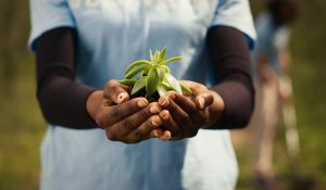 African,American,Girl,Presenting,Small,Sprout,With,Organic,Soil,Ready