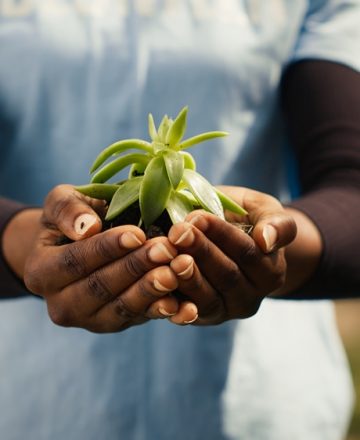 African,American,Girl,Presenting,Small,Sprout,With,Organic,Soil,Ready